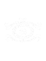 Ortopedia e traumatologia : princípios e prática