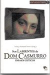 Nos labirintos de Dom Casmurro : ensaios críticos