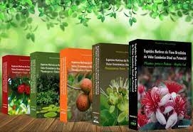 Espécies nativas da flora brasileira de valor econômico atual ou potencial : plantas para o futuro
